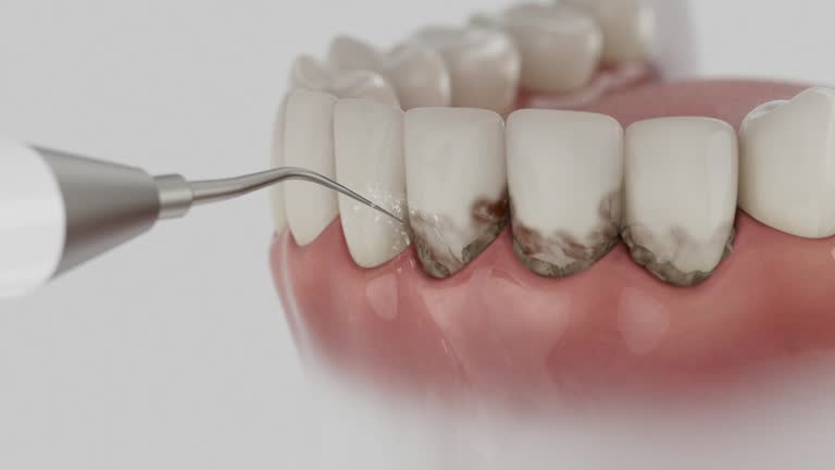Reliable Dental contractor in Magnolia, OH by Dentist Open Now